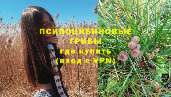 соль ск Абаза